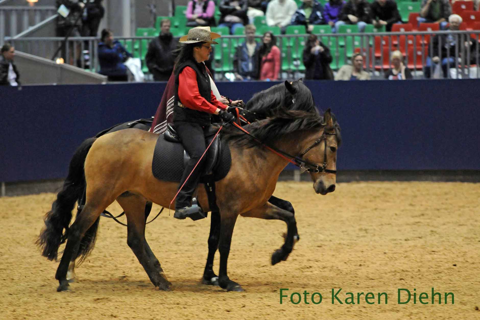 Mit der selbstgezogenen Staatsprmienstute Daria auf der Hansepferd 2012